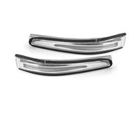 DHDYJSA Indicatore Direzione Per Hyundai Per Santa Per Fe 2014-2019 Auto Specchietto Retrovisore LED Indicatori Direzione Lampada 87623B8000 87613B8000(1 Pair)