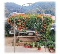 DHGVCED Arco da Giardino in Metallo Arco per Rose in Acciaio Inossidabile Larghezza 120-350 Cm Facile da Montare(Size:150 * 240cm(59 * 94in))