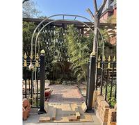 DHGVCED Arco da Giardino in Metallo Arco per Rose in Acciaio Inossidabile Larghezza 120-350 Cm Facile da Montare(Size:150 * 240cm(59 * 94in))