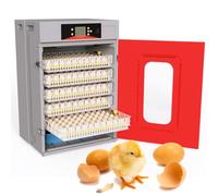 DHMYYXGS Incubatrice Digitale Automatica Completo di Gestione Clima