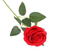 DHSBGWSX 1 rosa rossa, fiori di rosa artificiale, 50 cm, classica, pianta artificiale, decorazione da tavolo, matrimonio, casa, ufficio, giardino