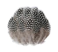 DHSBGWSX 100 piume di perla, piume marroni, piume, piume di faraona, accessori per gioielli, decorazioni fai da te