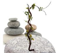 di albero artificiali, rampicante verde con foglie sempre belle, 100 cm | ramo e canna da appendere alla parete con germogli, pianta finta, tronco per ufficio, casa, soggiorno, decorazione
