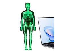 di Anatomia Figura e Strumenti Fosforescenti