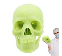 Di - Cappucci Cranici Per Studio Anatomico Umano Finto In | Anatomico Realistico Del Della Testa , Staccabile Per Il Corso Di Studio Di Anatomia Degli Studenti