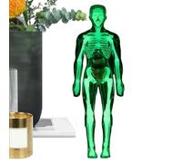 Di Corpo Umano Giocattolo Con Che Brillano Al Buio