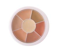 di correzione di colore, del fondatore della crema correzione della del pallet del pallet della copertura ideale per il porto 'evidenziatore impermeabile,