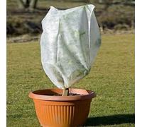 DI GIULIO SRL Cappuccio Telo TERMOCLIMA 30 GR ANTIGELO 3 MT X 3 MT