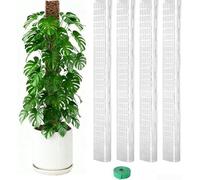di in Plastica a D 60cm per Piante Rampicanti di in Plastica(4PCs) | Design a D unico, radici aeree aderenti meglio, crescita verticale robusta, plastica , per ideale per monstera