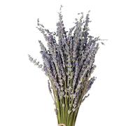 di lavanda essiccati - Bouquet decorativo di lavanda, lavanda, lavanda immortale, fiori stabilizzati | Fragranza per la casa, composizione floreale, simbolo 'amore, per la decorazione di noz
