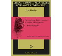 Di notte, davanti alla parete con l'ombra degli alberi. Ediz. illustrata