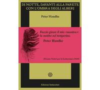 Di notte, davanti alla parete con l'ombra degli alberi. Ediz. illustrata