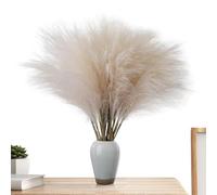 di Pampa - di canna alta finta, morbidi pennacchi artificiali soffici, decorazione per vaso bohémien per la casa, realistica come una piuma | Senti gli pieghevoli per lo sfondo della f