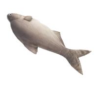 di pesce realistico Pesce gatto Giocattolo Mercato di pesci Modelli di