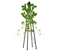 Di Rango Per Le Piantee Daa Arrampicata All'aperto | Giardino Più Incantesimo | Piante In Metallo A Portata Pianta Trellis Da Giardsino-metalloo, Adatto Al Supporto Perr Verdure, Pianteye E Pi