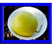 di Sakata Melone dolce 25 semi COMBINATO VEDERE IL MIO DEPOSITO PER SEMI RARE Seeds ONLY