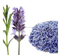 Di Tè Cinese Ai Fiori Essiccati Di Lavanda Lenisce I Nervi E Favorisce La Digestione Tea Ai Fiori Tè Botanico Lenitivo E Rilassante per Il Sonno Prepara Dolci Marmellate E Bevande Tisana (500g)