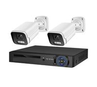 Di Telecamere Sicurezza Con Rilevamento Del Volto Ai Da 8 MP 4K Kit POE NVR CCTV Videoregistrazione Telecamera Sorveglianza Audio Umana For Esterni Rilevamento Del Movimento(None,4CH NVR 2 AI Camera)
