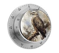 di un falco seduto Timer da cucina con retro magnetico Timer manuali con conto alla rovescia per aula, casa, palestra, abbronzatura