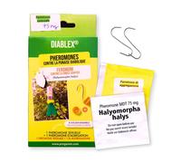Diablex Attrattivo per Cimice Asiatica Feromone Aggregazione + Sessuale 75 mg