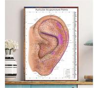 Diagramma Dei Punti Di Agopuntura, Riflessologia Auricolare, Anatomia, Poster, Stampa Artistica Da Parete, Dipinto Medico Su Tela, Dottore 40X60Cm