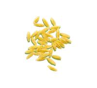 Dialcos DIALSI' MAIS&RISO RISONI 300 G