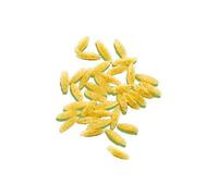 DIALSI' MAIS&RISO RISONI 300G