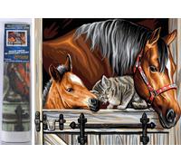 Diamant painting cavallo e gatto 30x40 cm