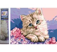 Diamante Pittura Occhi di Gatto 30x40cm