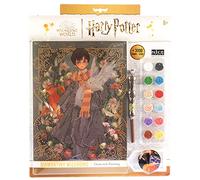 DIAMANTINY Harry Potter - Yume Fantasy Harry - Kit crea il Mosaico, Attività Crystal Art, Diamond Painting, 1 Quadro A4