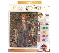 Diamantiny Harry Potter - Yume Fantasy Ron - Kit crea il Mosaico, Attività Crystal Art, Diamond Painting, 1 Quadro A4, Multicolor, 21 x 29,7 cm, 21011