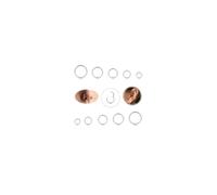 Diamday 10 pezzi 6-12mm 316L anelli del naso in acciaio Septum Piercing Cartilage Hoops Segment Ring Body Piercing Nose Hoop Lip Rings Helix Orecchini per le donne uomini (Argento) 16G