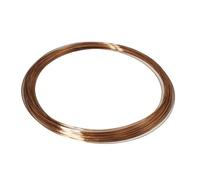 MMLFX Diametro del Filo Bronzo fosforo da 1 pc 0,1 mm 0,2 mm 0,3 mm 0,4 mm 0,5 mm 0,6 mm 0,7 mm 0,8 mm 1 mm (Size : 0.8x2m 1pc)