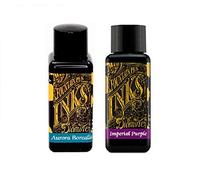 Diamine Inchiostro per penna stilografica, 30 ml, Aurora Borealis e viola imperiale, confezione da 2