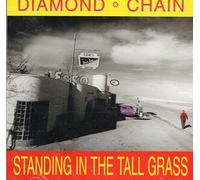 Diamond Chain - Standing in the Tall Gras (US Import)