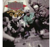 Diamond D - Stunts, Blunts and Hip Hop (2 LP)