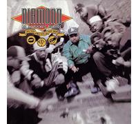 Diamond D - Stunts, Blunts & Hip Hop