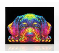 DIAMOND DOTZ 2594368 - Kit per pittura a diamante 5D originale, con colori al neon e velluto, per adulti e bambini dai 12 anni in su, intermediate
