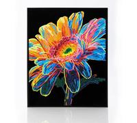 DIAMOND DOTZ 2594371 - Set per pittura con diamanti 5D, gerbera al neon e velluto, per adulti e bambini dai 12 anni in su, intermediate