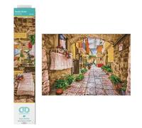 DIAMOND DOTZ DQ10 - Kit Intermedio, Rustico, 52 x 36 cm