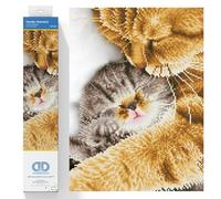 DIAMOND DOTZ Intermedio, DD7 Pittura, Kit per Principianti, Tela, Momento Tenero, 30 x 41cm