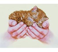 DIAMOND DOTZ Intermedio, DD7 Pittura, Kit per Principianti, Tela Poliestere, Gattino Prezioso, 52 x 40 cm