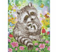 Diamond Dotz Kit Di Pittura Diamante - Sweet Racoons