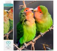 DIAMOND DOTZ- Birds Kit Intermedio DQ10, Colore Pesca di Fronte Amore Uccelli, 41 x 41 cm, DQ10.014