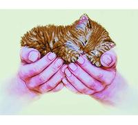 DIAMOND DOTZ Kit per diamond painting per adulti con gattini preziosi, kit per diamond art, rilassante, creativo, con gemme Dotz, 40 x 52 cm