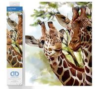 DIAMOND DOTZ Painting, Intermediate, DD8 Pittura, Kit per Principianti, Tela, Alto & Tender, 40 x 40 cm
