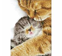 Diamond Dotz Kit Pittura Perline Tender Moment
