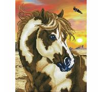 Diamond Dotz Kit Wild & Free - Arte Per Tracciatura Con Cavallo