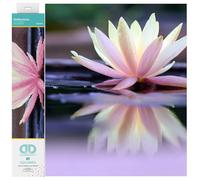 DIAMOND DOTZ Seerose Squares DQ8 - Kit Intermedio, riflessi, 41 x 31 cm