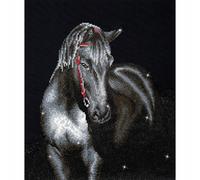 Diamond Dotz Set Per Pittura Con Diamanti Midnight Stallion Design Intermedio